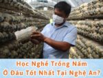 học nghề trồng nấm