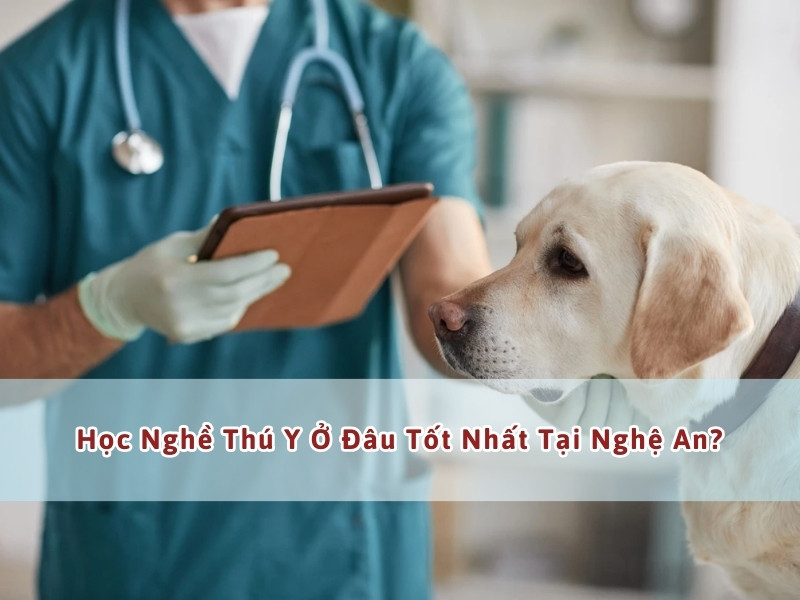 học nghề thú y tại nghệ an